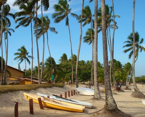 translado-club-med-itaparica